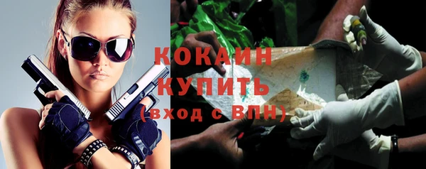 бошки Богданович
