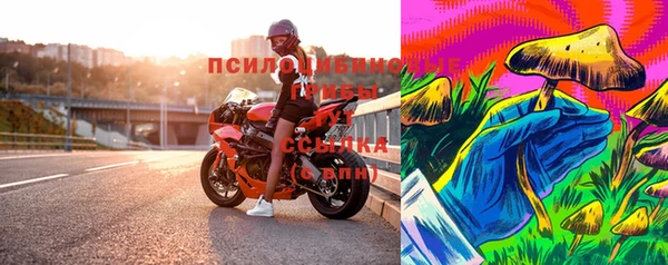 крисы Тавда