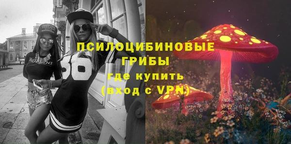 ПСИЛОЦИБИНОВЫЕ ГРИБЫ Богородск
