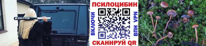 как найти наркотики  Комсомольск  Псилоцибиновые грибы прущие грибы 